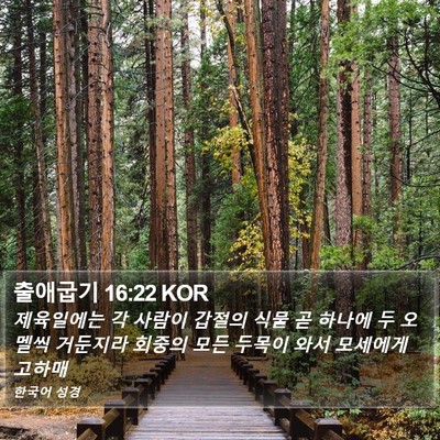 출애굽기 16:22 KOR Bible Verse Image