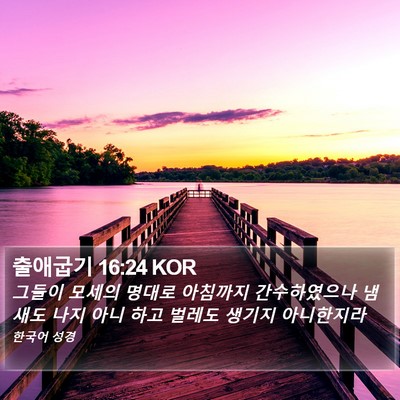 출애굽기 16:24 KOR Bible Verse Image