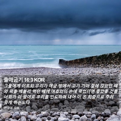 출애굽기 16:3 KOR Bible Verse Image