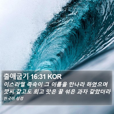 출애굽기 16:31 KOR Bible Verse Image