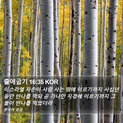 출애굽기 16:35 KOR Bible Verse Image