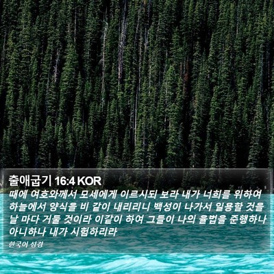 출애굽기 16:4 KOR Bible Verse Image