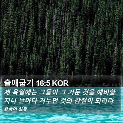 출애굽기 16:5 KOR Bible Verse Image