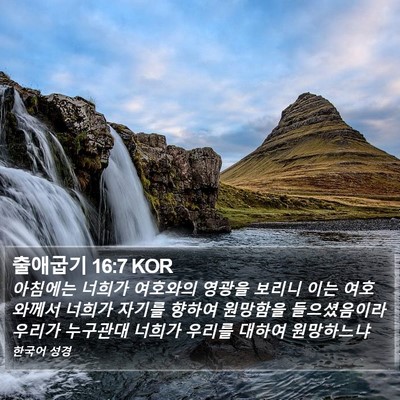 출애굽기 16:7 KOR Bible Verse Image
