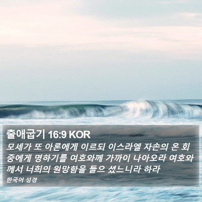 출애굽기 16:9 KOR Bible Verse Image