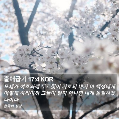 출애굽기 17:4 KOR Bible Verse Image