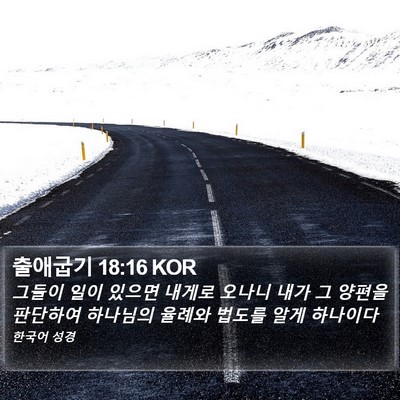 출애굽기 18:16 KOR Bible Verse Image