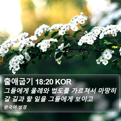 출애굽기 18:20 KOR Bible Verse Image