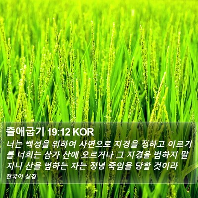 출애굽기 19:12 KOR Bible Verse Image
