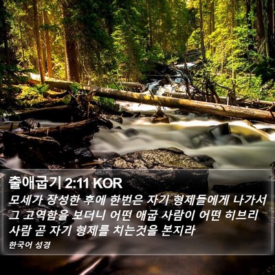출애굽기 2:11 KOR Bible Verse Image