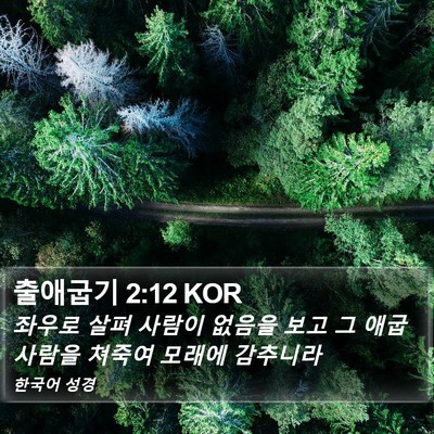 출애굽기 2:12 KOR Bible Verse Image
