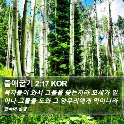 출애굽기 2:17 KOR Bible Verse Image