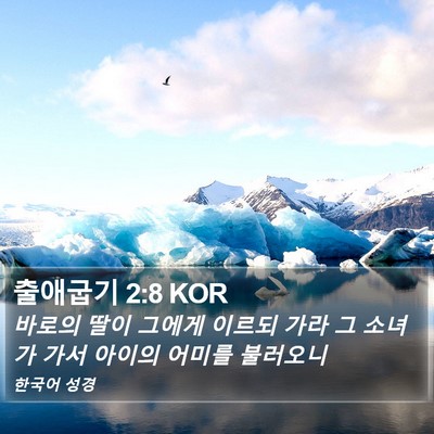 출애굽기 2:8 KOR Bible Verse Image