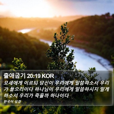 출애굽기 20:19 KOR Bible Verse Image