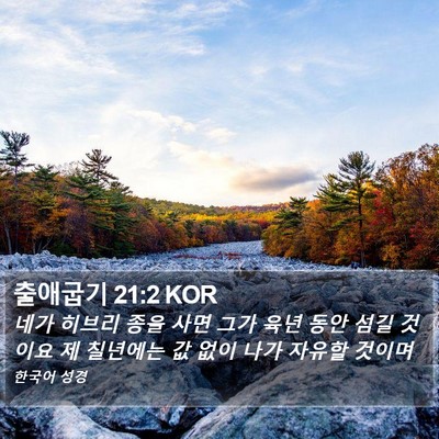 출애굽기 21:2 KOR Bible Verse Image