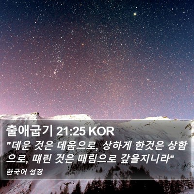 출애굽기 21:25 KOR Bible Verse Image