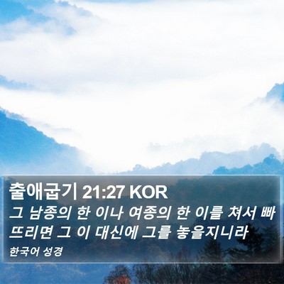 출애굽기 21:27 KOR Bible Verse Image