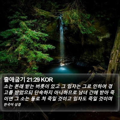 출애굽기 21:29 KOR Bible Verse Image
