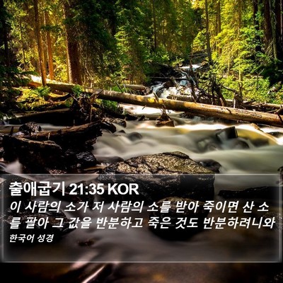 출애굽기 21:35 KOR Bible Verse Image