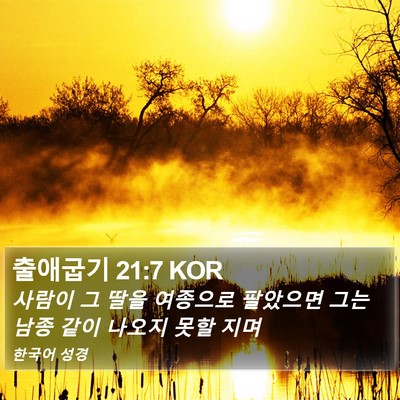 출애굽기 21:7 KOR Bible Verse Image
