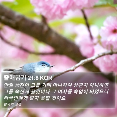출애굽기 21:8 KOR Bible Verse Image