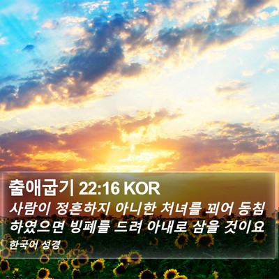 출애굽기 22:16 KOR Bible Verse Image