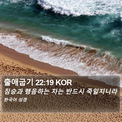 출애굽기 22:19 KOR Bible Verse Image