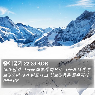 출애굽기 22:23 KOR Bible Verse Image