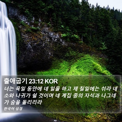 출애굽기 23:12 KOR Bible Verse Image