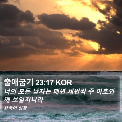 출애굽기 23:17 KOR Bible Verse Image