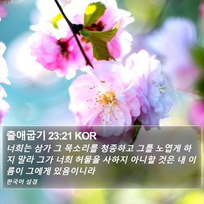출애굽기 23:21 KOR Bible Verse Image