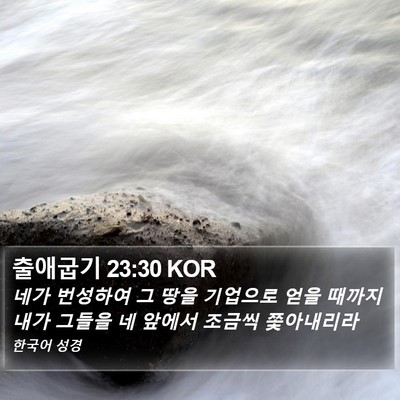 출애굽기 23:30 KOR Bible Verse Image