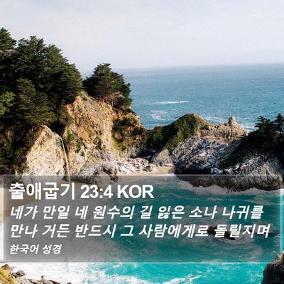 출애굽기 23:4 KOR Bible Verse Image