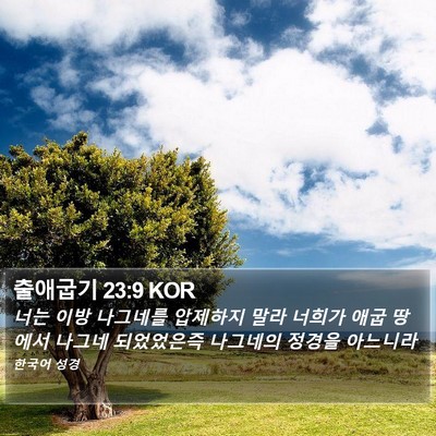 출애굽기 23:9 KOR Bible Verse Image