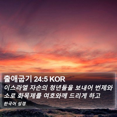 출애굽기 24:5 KOR Bible Verse Image