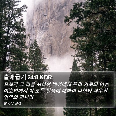 출애굽기 24:8 KOR Bible Verse Image