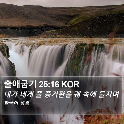 출애굽기 25:16 KOR Bible Verse Image