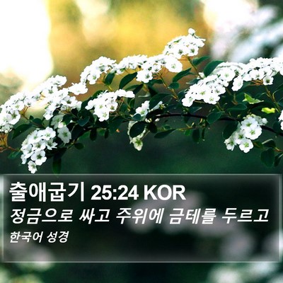 출애굽기 25:24 KOR Bible Verse Image