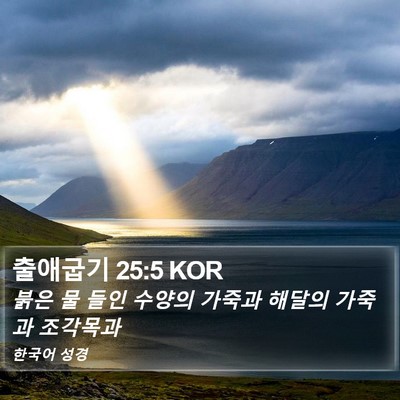 출애굽기 25:5 KOR Bible Verse Image