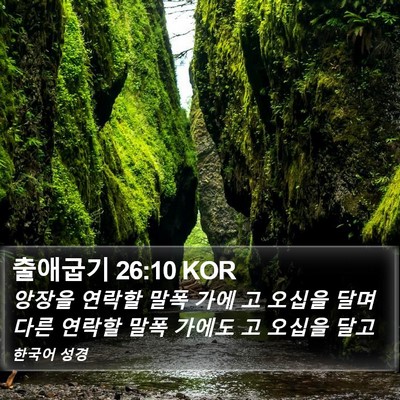 출애굽기 26:10 KOR Bible Verse Image