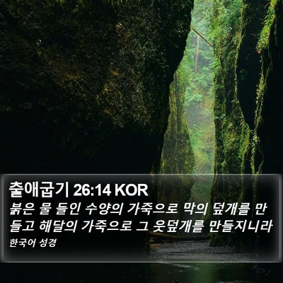 출애굽기 26:14 KOR Bible Verse Image
