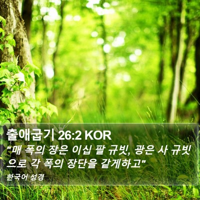 출애굽기 26:2 KOR Bible Verse Image