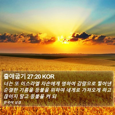 출애굽기 27:20 KOR Bible Verse Image