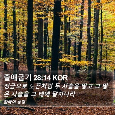 출애굽기 28:14 KOR Bible Verse Image