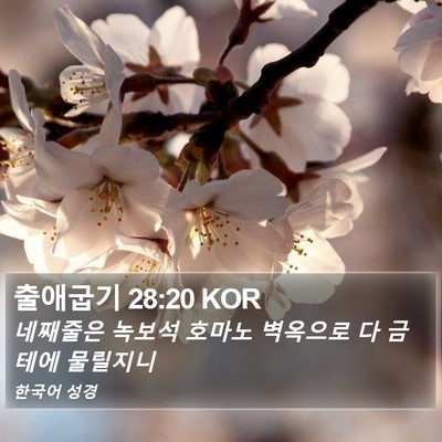 출애굽기 28:20 KOR Bible Verse Image
