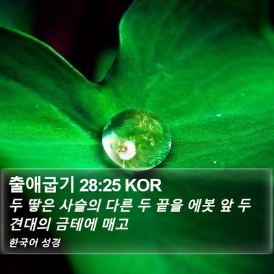출애굽기 28:25 KOR Bible Verse Image