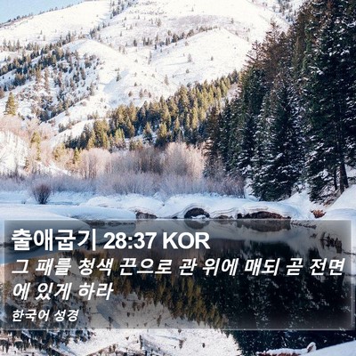 출애굽기 28:37 KOR Bible Verse Image