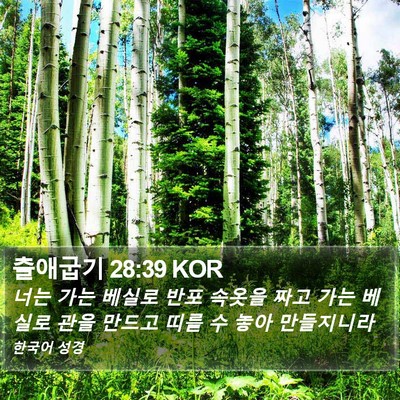 출애굽기 28:39 KOR Bible Verse Image