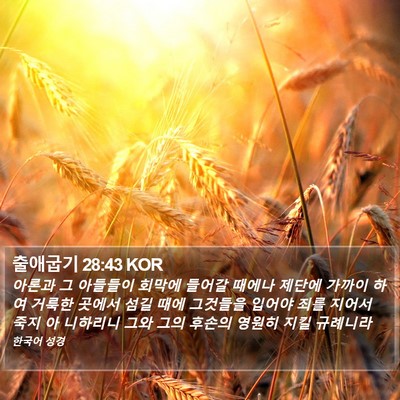 출애굽기 28:43 KOR Bible Verse Image