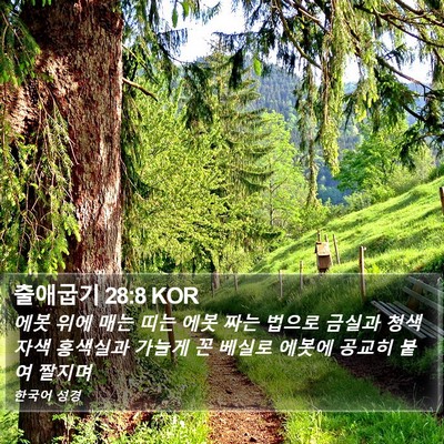 출애굽기 28:8 KOR Bible Verse Image